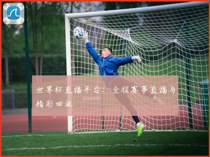 世界杯直播平台：全程赛事直播与精彩回放