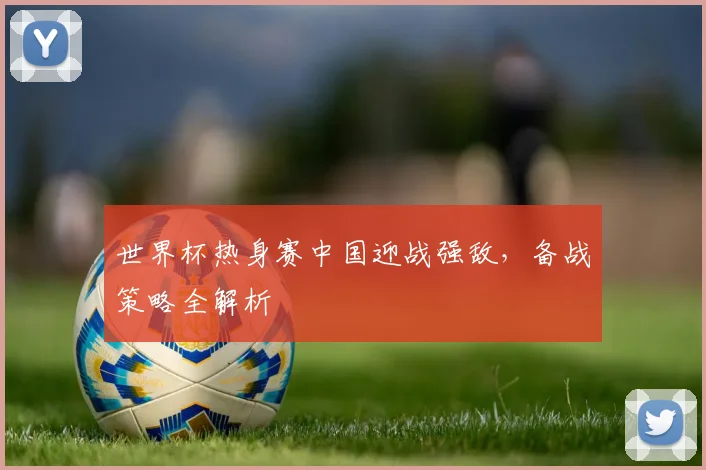 世界杯热身赛中国迎战强敌,备战策略全解析