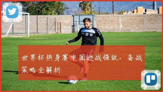 世界杯热身赛中国迎战强敌,备战策略全解析